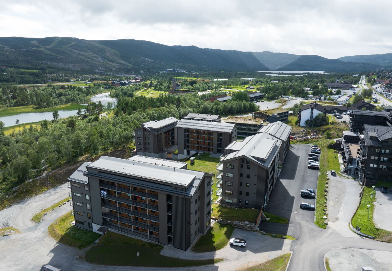 Leilighet i Hol - Ny (2023) leilighet med sentral beliggenhet.