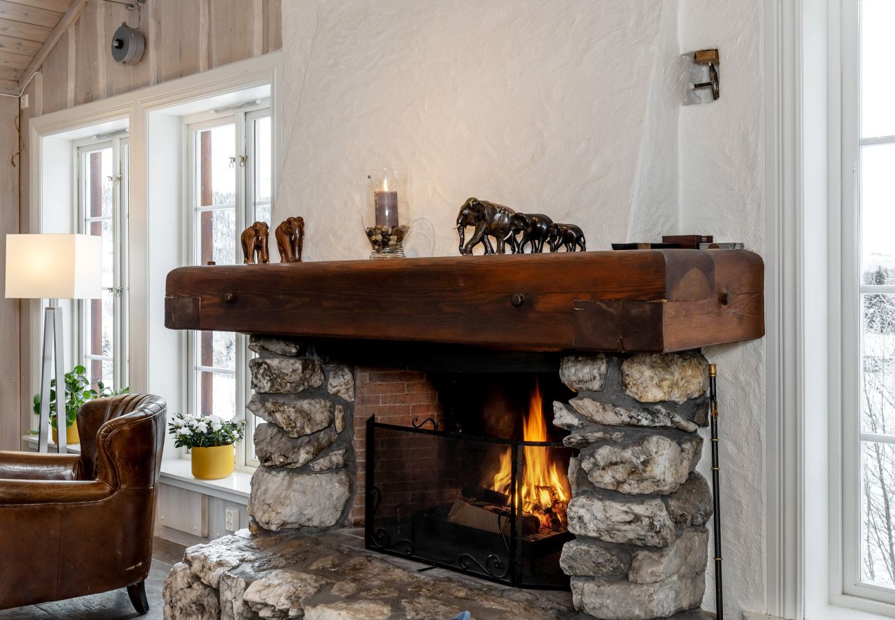 Hus i Hemsedal - Stort hus med terrasser og badstue, Hemsedal
