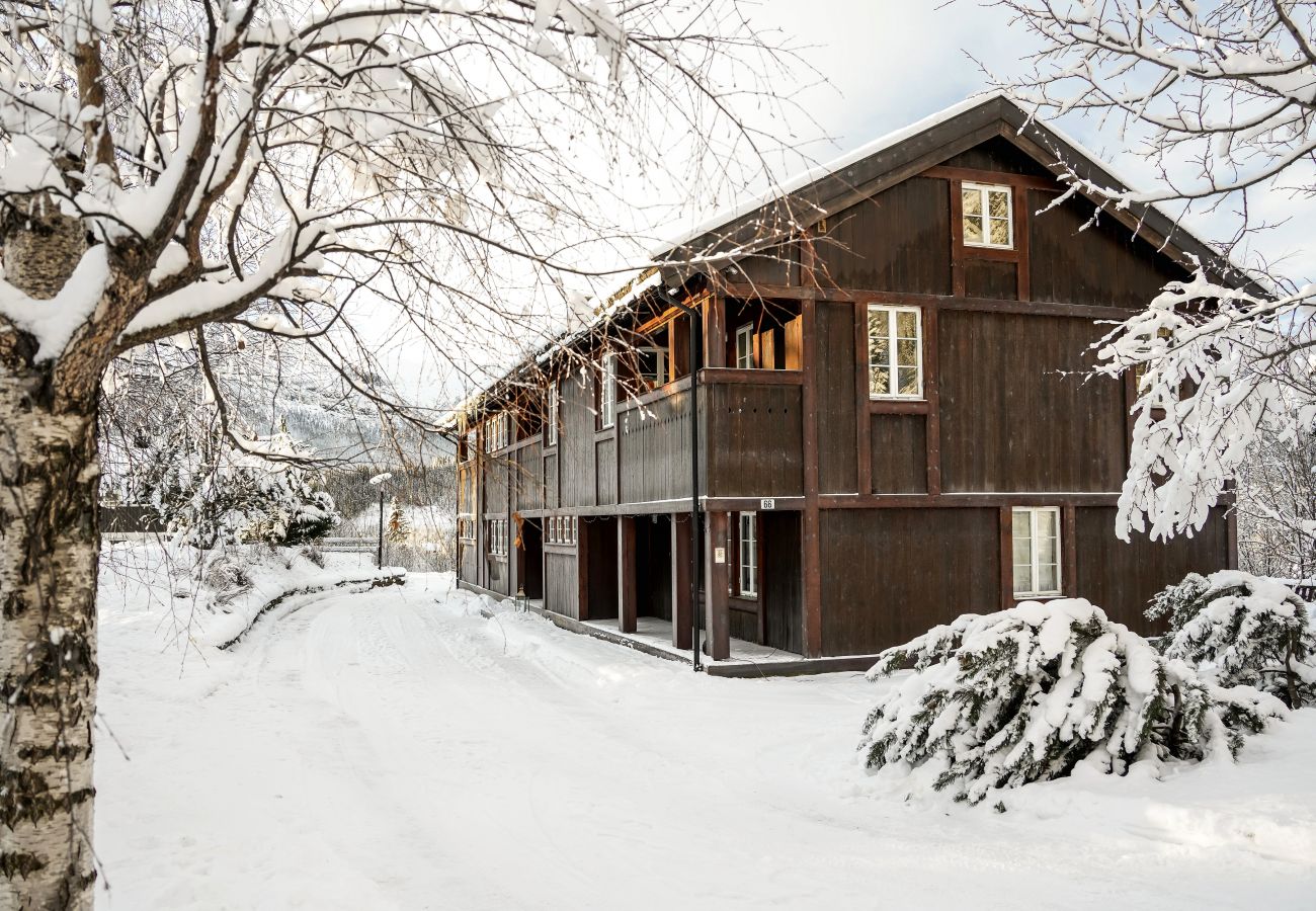 Hus i Hemsedal - Stort hus med terrasser og badstue, Hemsedal