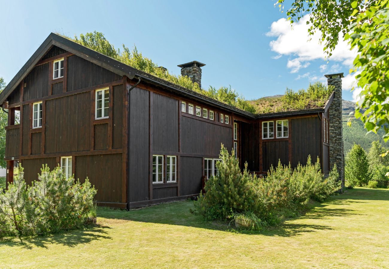 Hus i Hemsedal - Stort hus med terrasser og badstue, Hemsedal