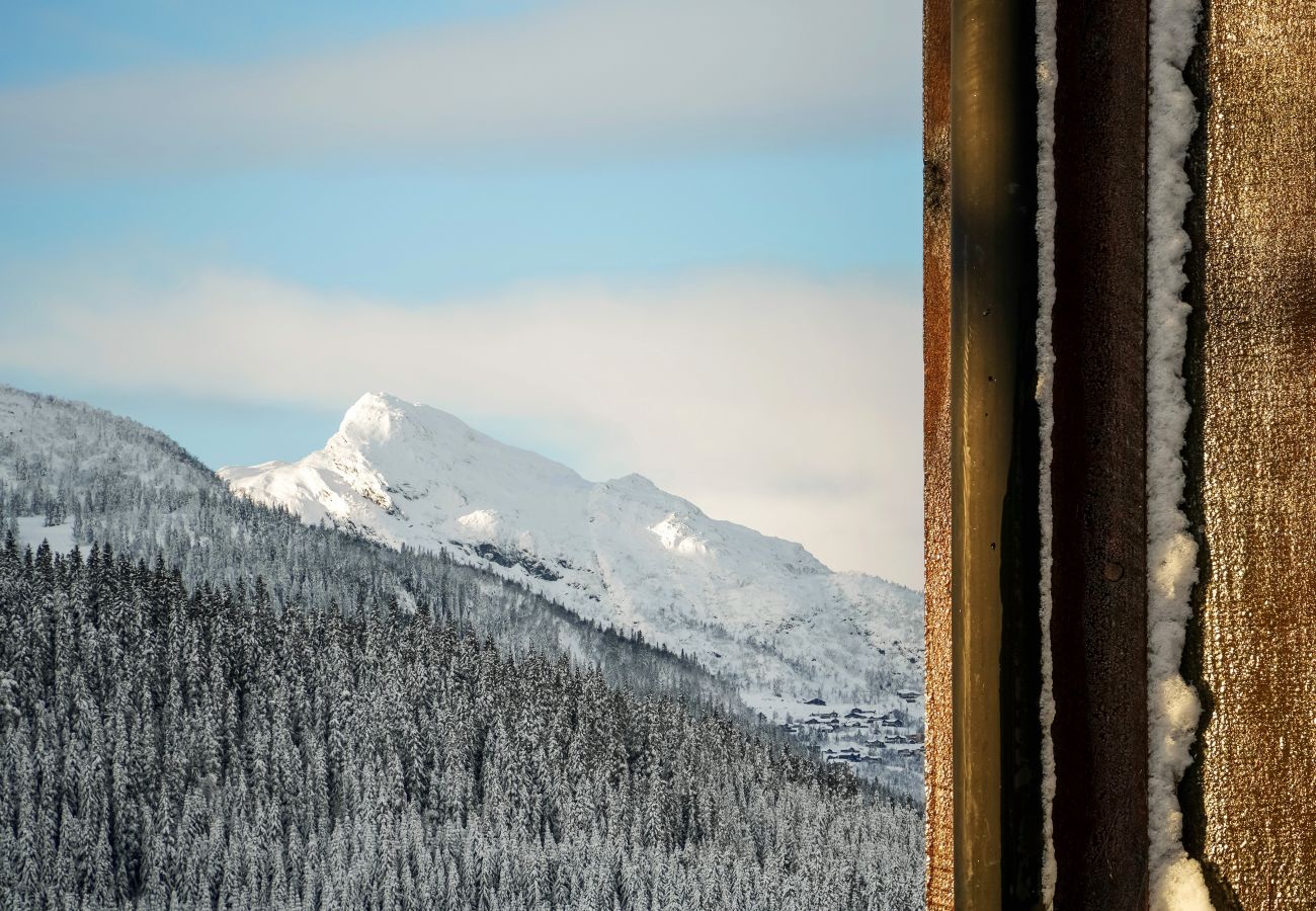 Hus i Hemsedal - Stort hus med terrasser og badstue, Hemsedal