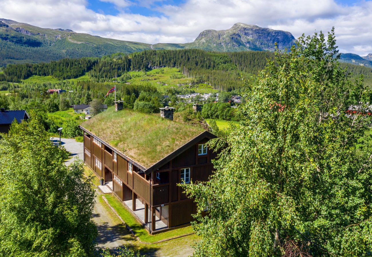 Hus i Hemsedal - Stort hus med terrasser og badstue, Hemsedal