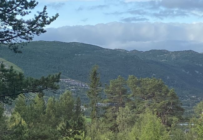 Hytte i Hol - Solrik og flott hytte i Havsdalen.
