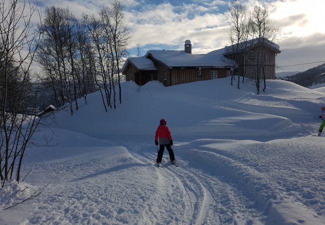 Hytte i Hol - Solrik og flott hytte i Havsdalen. Hytte i Hol - Solrik og flott hytte i Havsdalen.