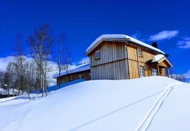Hytte i Hol - Solrik og flott hytte i Havsdalen. Hytte i Hol - Solrik og flott hytte i Havsdalen.