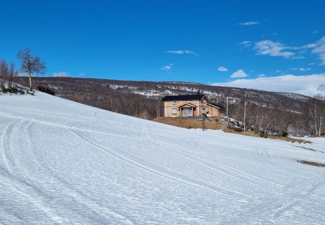 Hytte i Hol - Solrik og flott hytte i Havsdalen. Hytte i Hol - Solrik og flott hytte i Havsdalen.