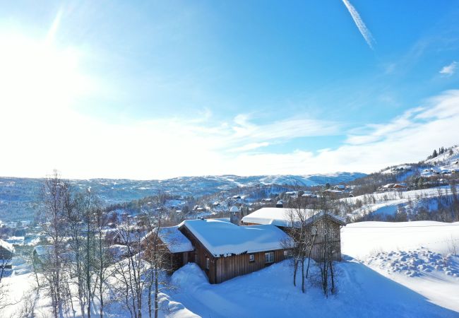 Hytte i Hol - Solrik og flott hytte i Havsdalen. Hytte i Hol - Solrik og flott hytte i Havsdalen.