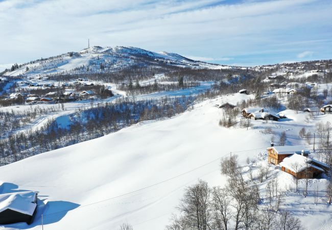 Hytte i Hol - Solrik og flott hytte i Havsdalen. Hytte i Hol - Solrik og flott hytte i Havsdalen.