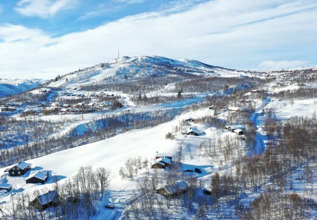 Hytte i Hol - Solrik og flott hytte i Havsdalen. Hytte i Hol - Solrik og flott hytte i Havsdalen.