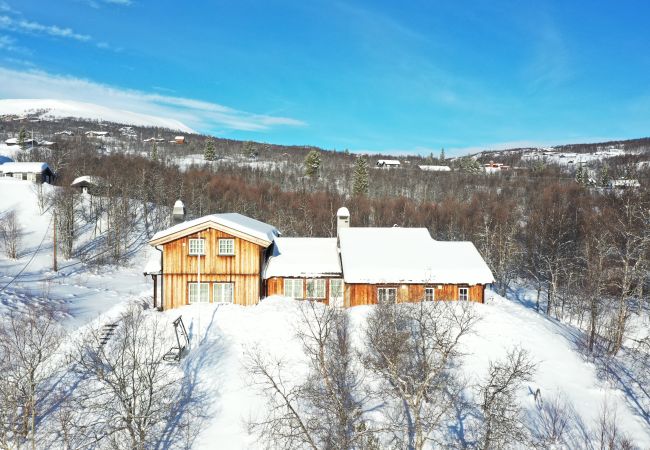 Hytte i Hol - Solrik og flott hytte i Havsdalen.