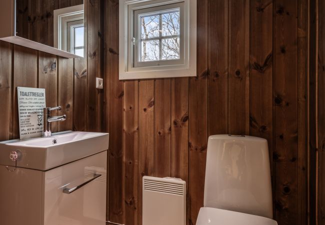 Hytte i Hol - Solrik og flott hytte i Havsdalen. Hytte i Hol - Solrik og flott hytte i Havsdalen.