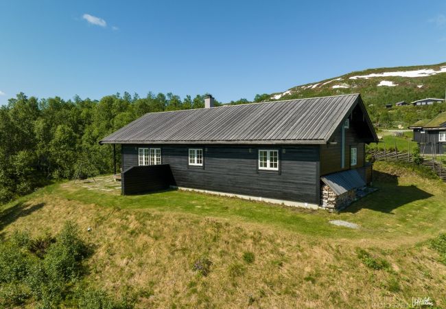 Hytte i Hol - Såballie - sjarmerende hytte, solrik beliggenhet.