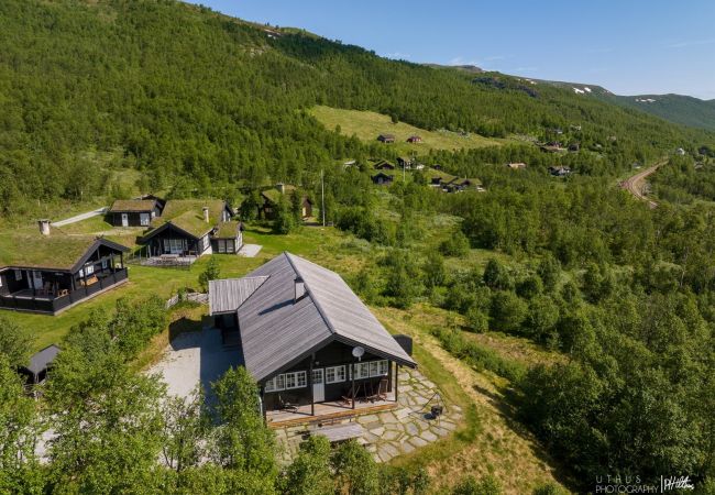 Hytte i Hol - Såballie - sjarmerende hytte, solrik beliggenhet.