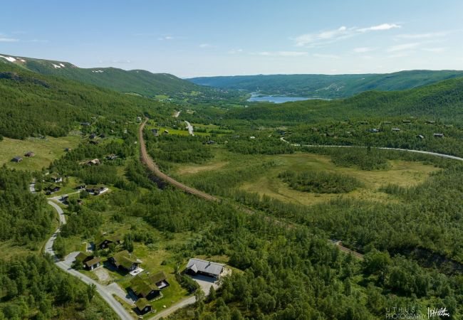 Hytte i Hol - Såballie - sjarmerende hytte, solrik beliggenhet.