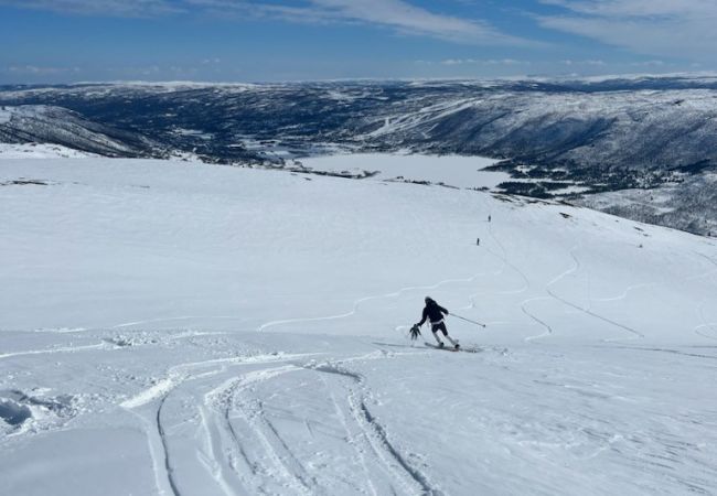 Hytte i Hol - Såballie - sjarmerende hytte, solrik beliggenhet. Hytte i Hol - Såballie - sjarmerende hytte, solrik beliggenhet.
