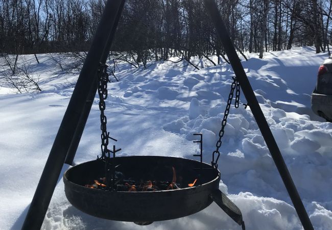 Hytte i Hol - Såballie - sjarmerende hytte, solrik beliggenhet. Hytte i Hol - Såballie - sjarmerende hytte, solrik beliggenhet.