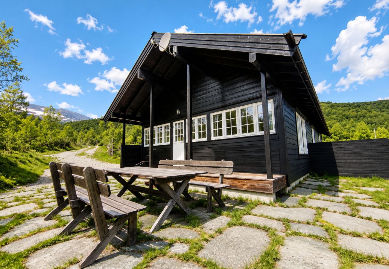 Hytte i Hol - Såballie - sjarmerende hytte, solrik beliggenhet.