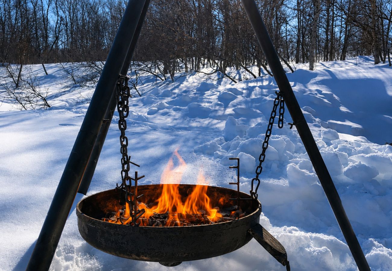 Hytte i Hol - Såballie - sjarmerende hytte, solrik beliggenhet.