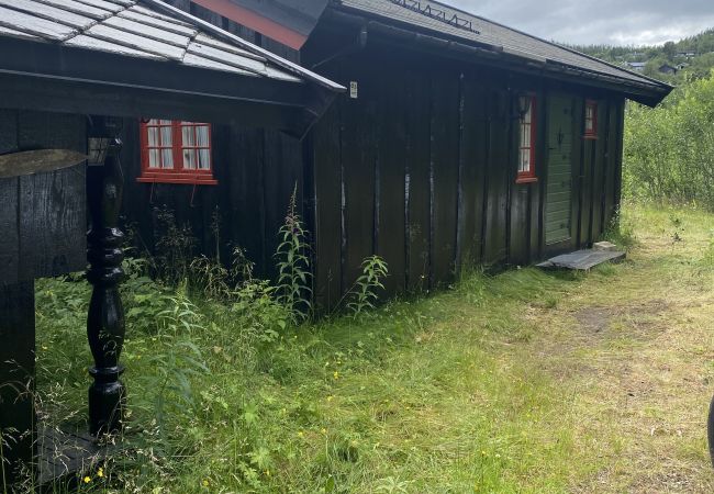 Hytte i Hol - Koselig familiehytte på Bardøla