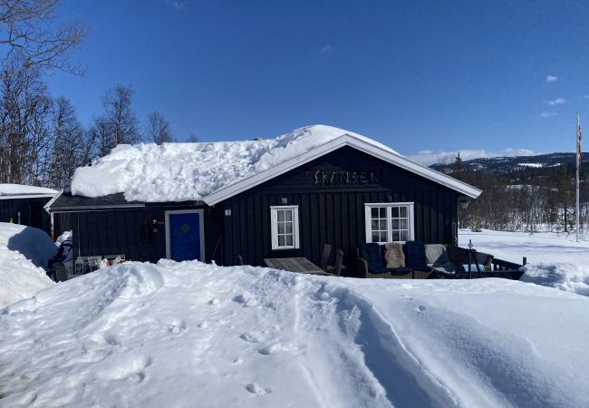 Hytte i Hemsedal - Koselig hytte på fjellet nær Storevatn i Hemsedal i Hallingdal