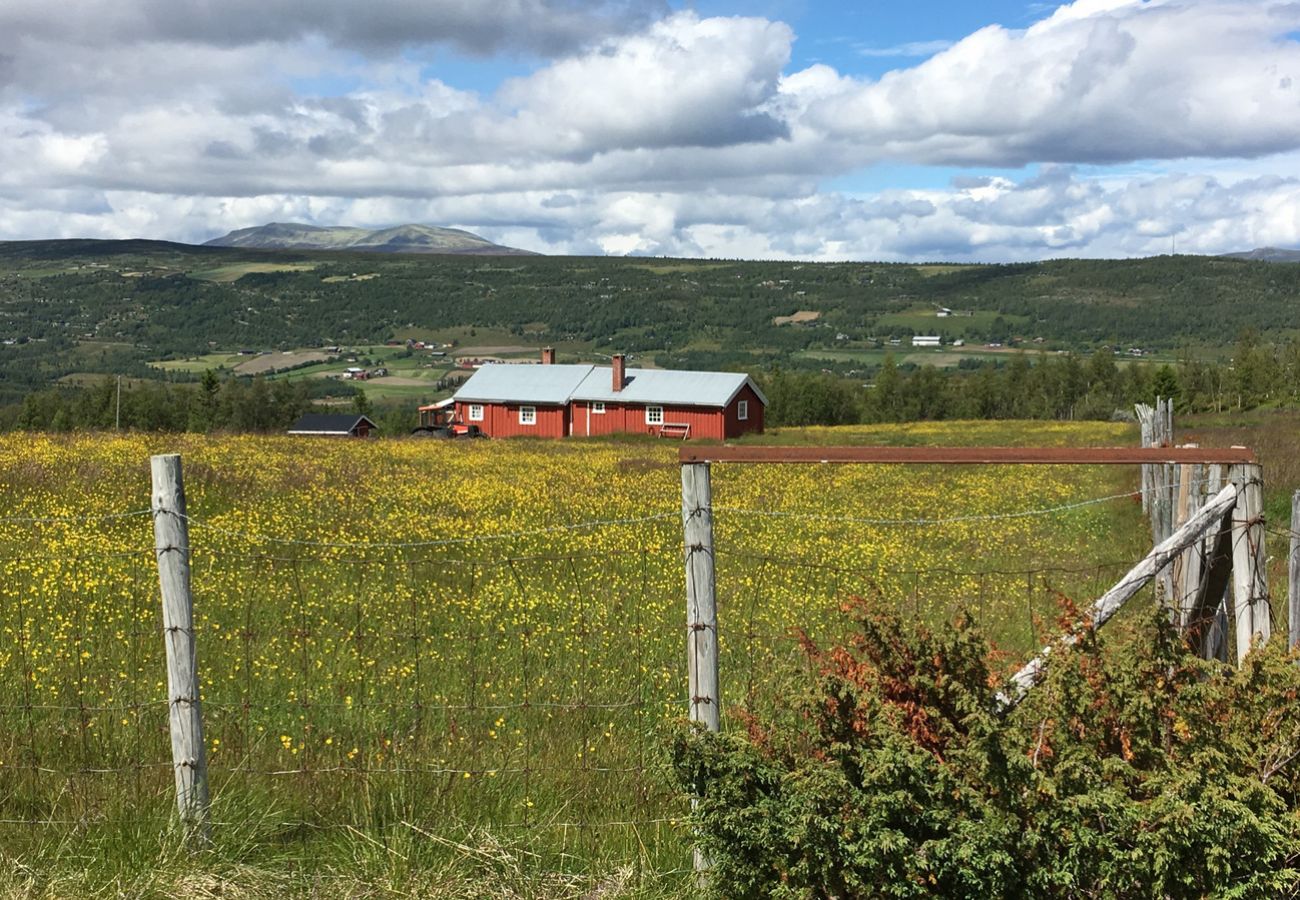 Leilighet i Hemsedal - Sjarmerende leilighet med terrasse og utsikt til fjell