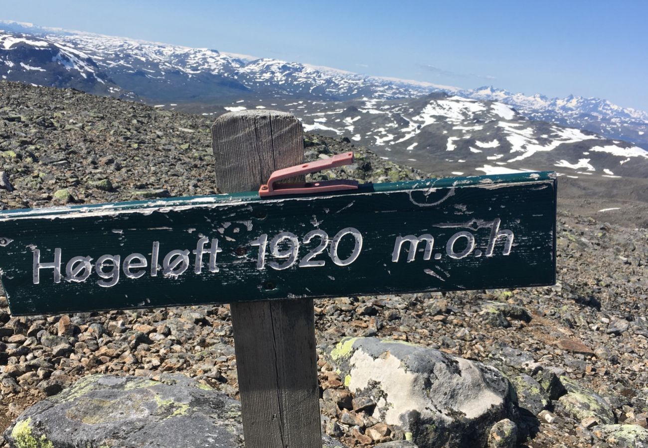Leilighet i Hemsedal - Sjarmerende leilighet med terrasse og utsikt til fjell
