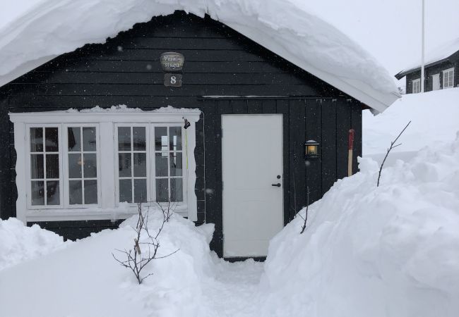 Hytte i Hol - Sjarmerende fjellhytte sentralt på Ustaoset 1000 m.o.h