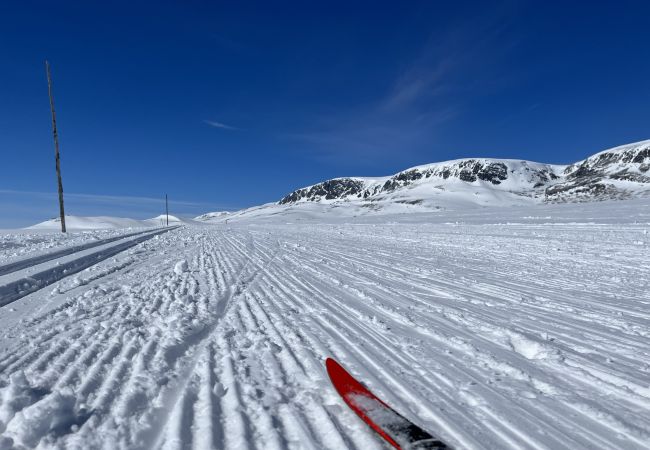 Hytte i Hol - Sjarmerende fjellhytte sentralt på Ustaoset 1000 m.o.h