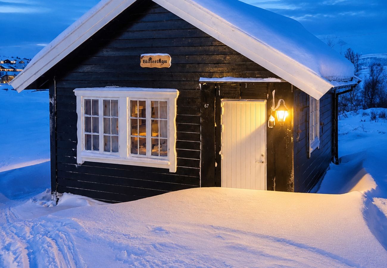 Hytte i Hol - Sjarmerende fjellhytte sentralt på Ustaoset 1000 m.o.h