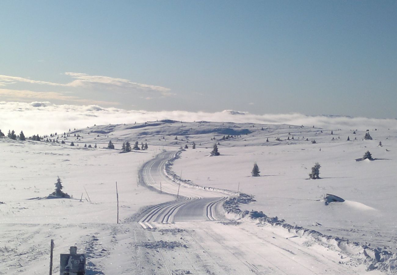 Hytte i Gol - Sjarmerende laftet hytte med 3 soverom på Golsfjellet