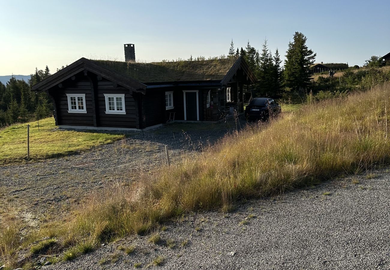 Hytte i Gol - Sjarmerende laftet hytte med 3 soverom på Golsfjellet