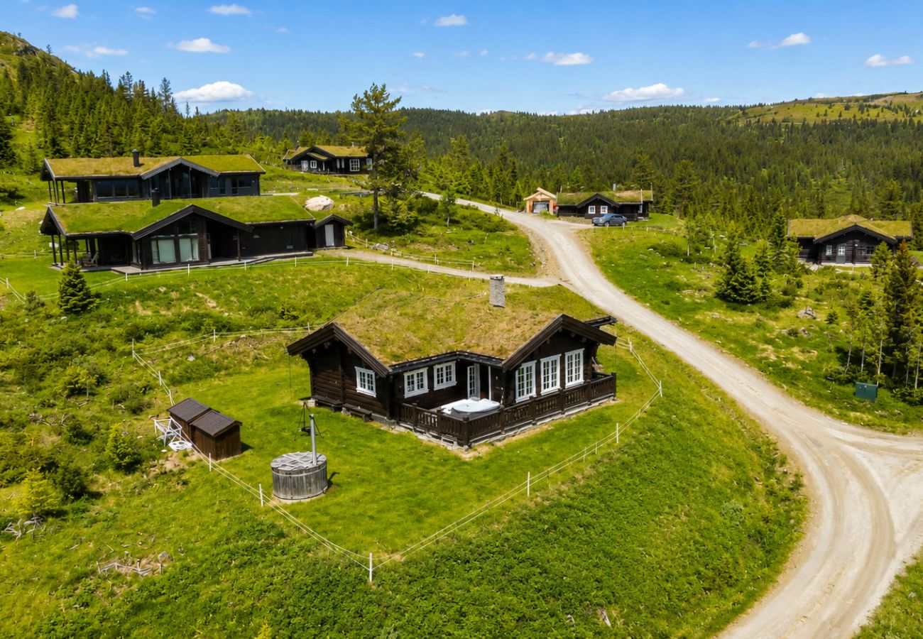 Hytte i Gol - Drømmehytte på fjellet med jacuzzi og utsikt