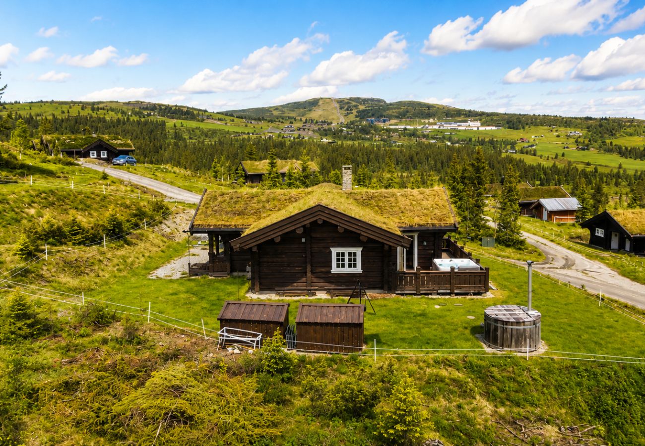 Hytte i Gol - Drømmehytte på fjellet med jacuzzi og utsikt
