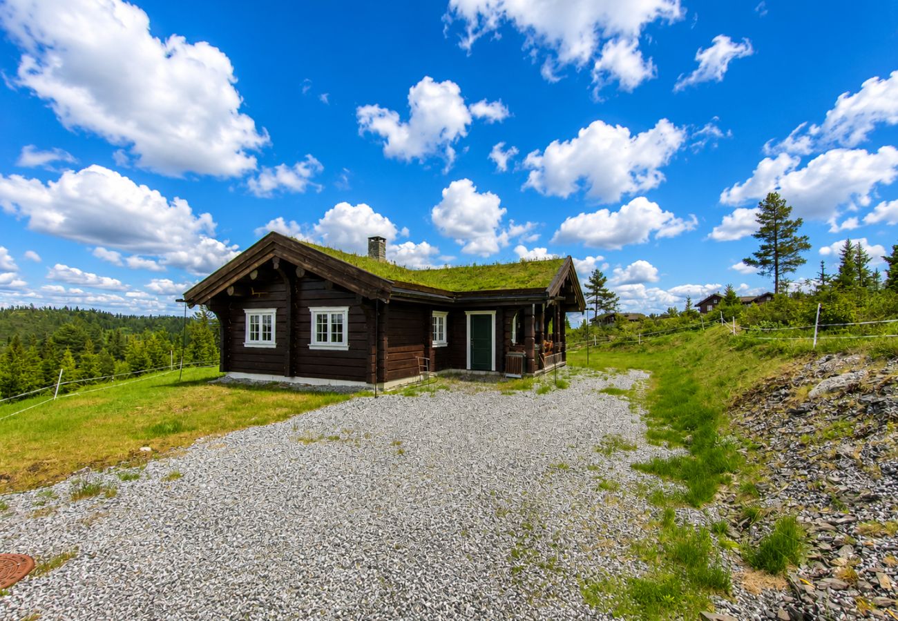 Hytte i Gol - Drømmehytte på fjellet med jacuzzi og utsikt