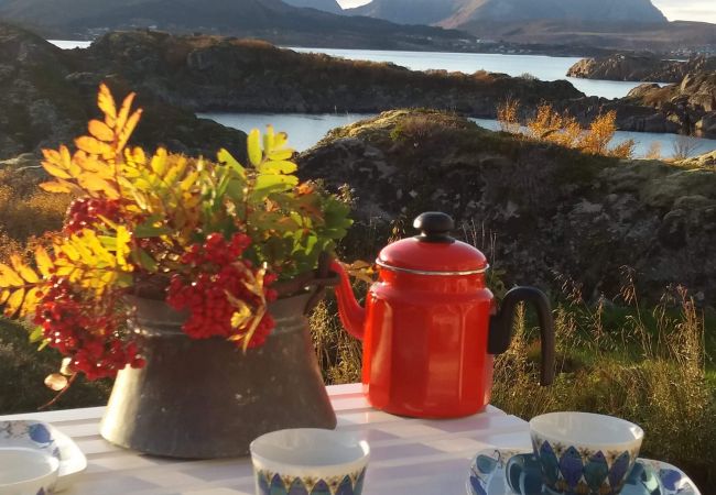 Hytte i Vestvågøy - Unique private cabin in Lofoten