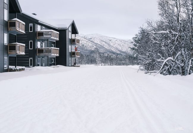 Leilighet i Hol - Ny leilighet, høy standard i Geilo sentrum