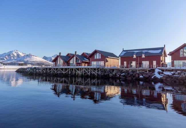 Hytte i Vestvågøy - Nappstraumen Seafront Cabin, Lilleeid 68