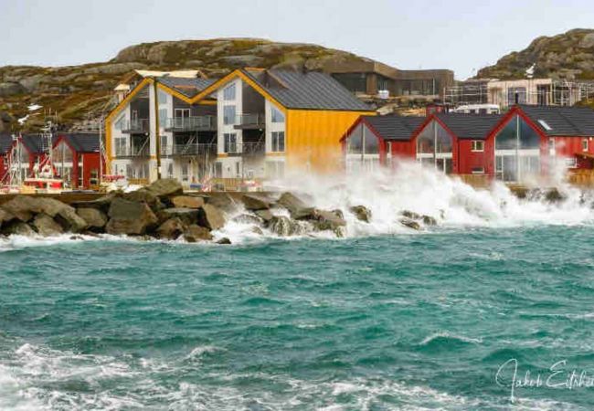 Leilighet i Vestvågøy - Lofoten seaview