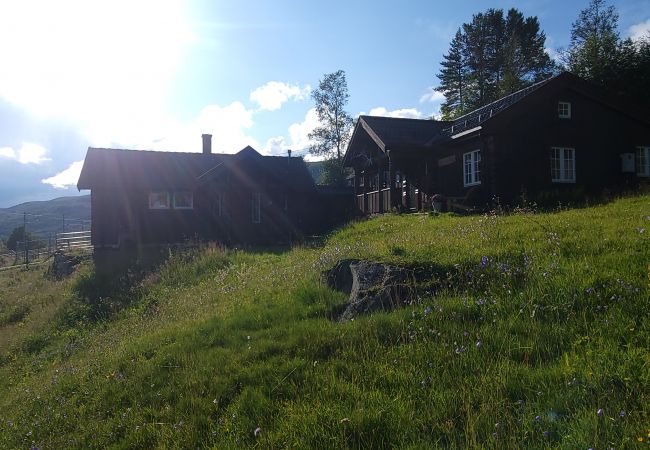 Hytte i Hol - Koselig Hallingstue like ved Hallsteinsgård.