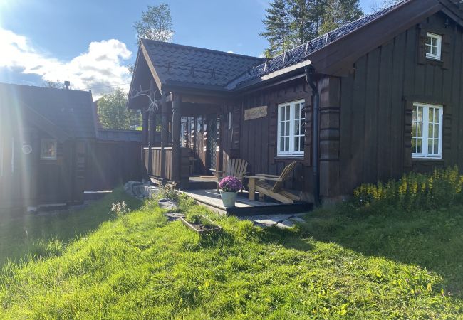 Hytte i Hol - Koselig Hallingstue like ved Hallsteinsgård.
