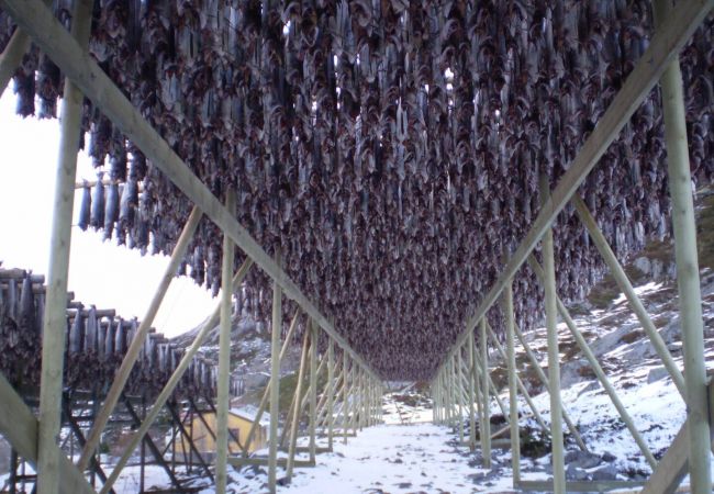 Leilighet i Flakstad - Damperiholmen cabin Leilighet i Flakstad - Damperiholmen cabin