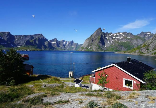 Hus i Moskenes - Lofoten panoramic luxury home with sauna