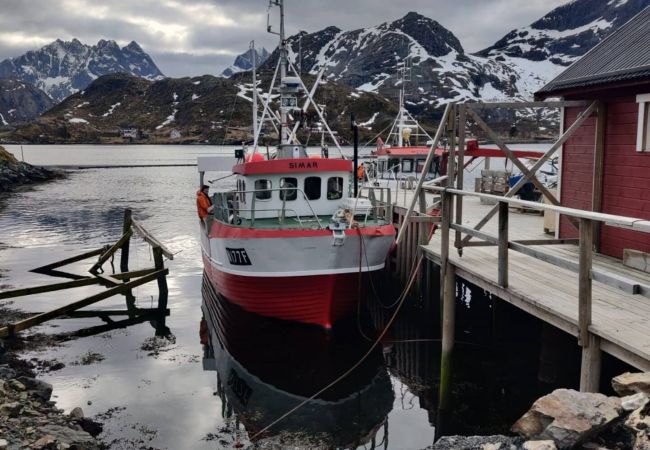 Hytte i Flakstad - Minkfarmen: Spacious seaside cabin w/scenic view Hytte i Flakstad - Minkfarmen: Spacious seaside cabin w/scenic view