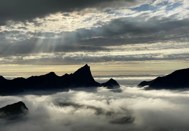 Hytte i Flakstad - Minkfarmen: Spacious seaside cabin w/scenic view Hytte i Flakstad - Minkfarmen: Spacious seaside cabin w/scenic view
