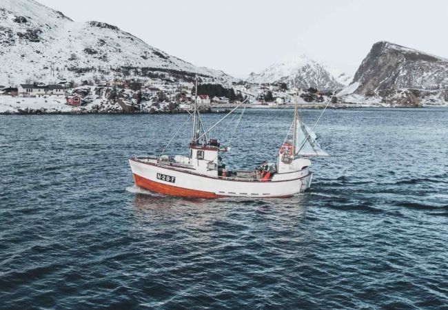 Studioleilighet i Flakstad - Minihus ved Havet 4 – Spektakulær Utsikt Studioleilighet i Flakstad - Minihus ved Havet 4 – Spektakulær Utsikt