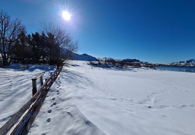 Hus i Vestvågøy - Peaceful property with spectacular sea view