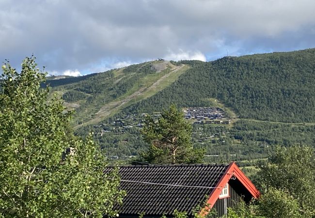 Hytte i Hol - Liten koselig hytte på hyttetun