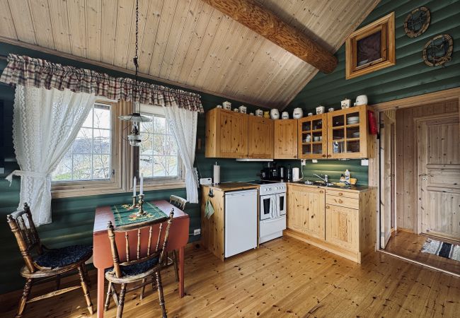 Hytte i Hol - Liten koselig hytte på hyttetun Hytte i Hol - Liten koselig hytte på hyttetun