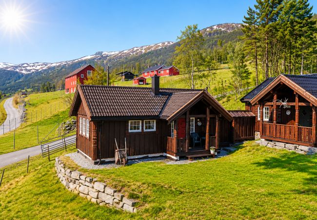 Hytte i Hol - Liten koselig hytte på hyttetun