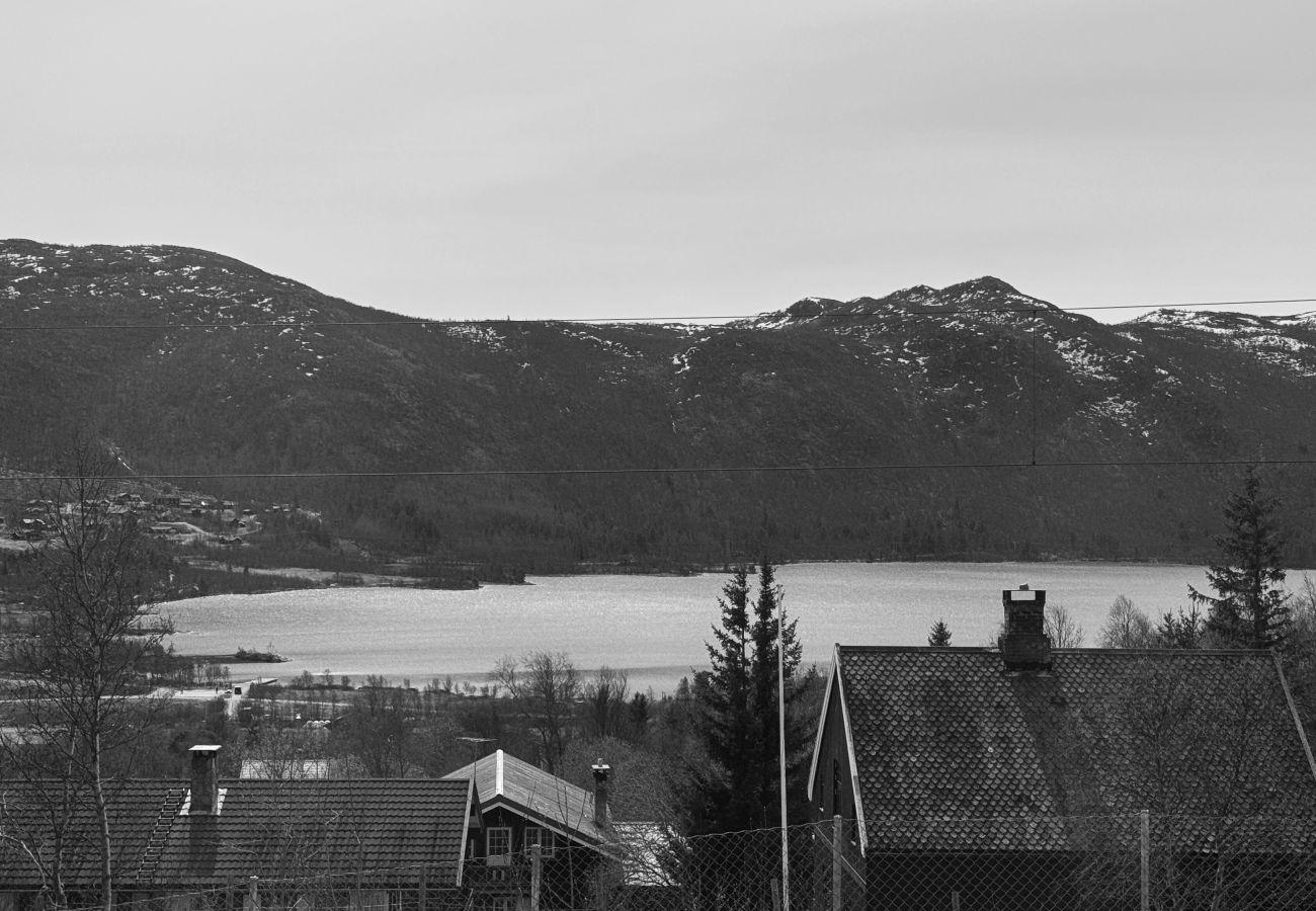 Hytte i Hol - Liten koselig hytte på hyttetun